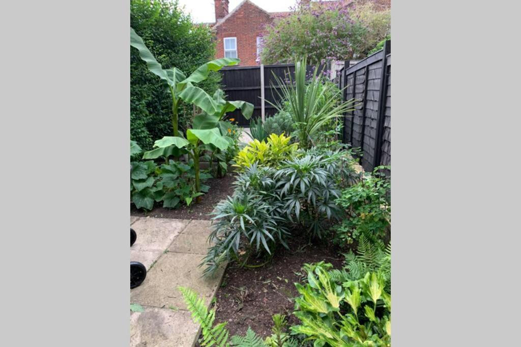 Beautiful Two Bed Victorian Terrace House Villa Norwich Exterior photo